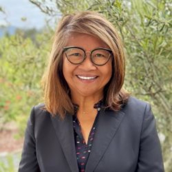 A. Christine Davis, CPA, CFF, CGMA, CVA
