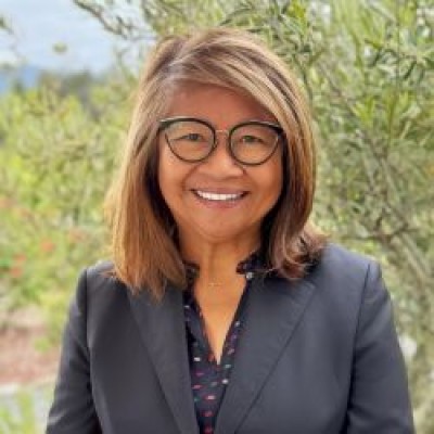 A. Christine Davis, CPA, CFF, CGMA, CVA