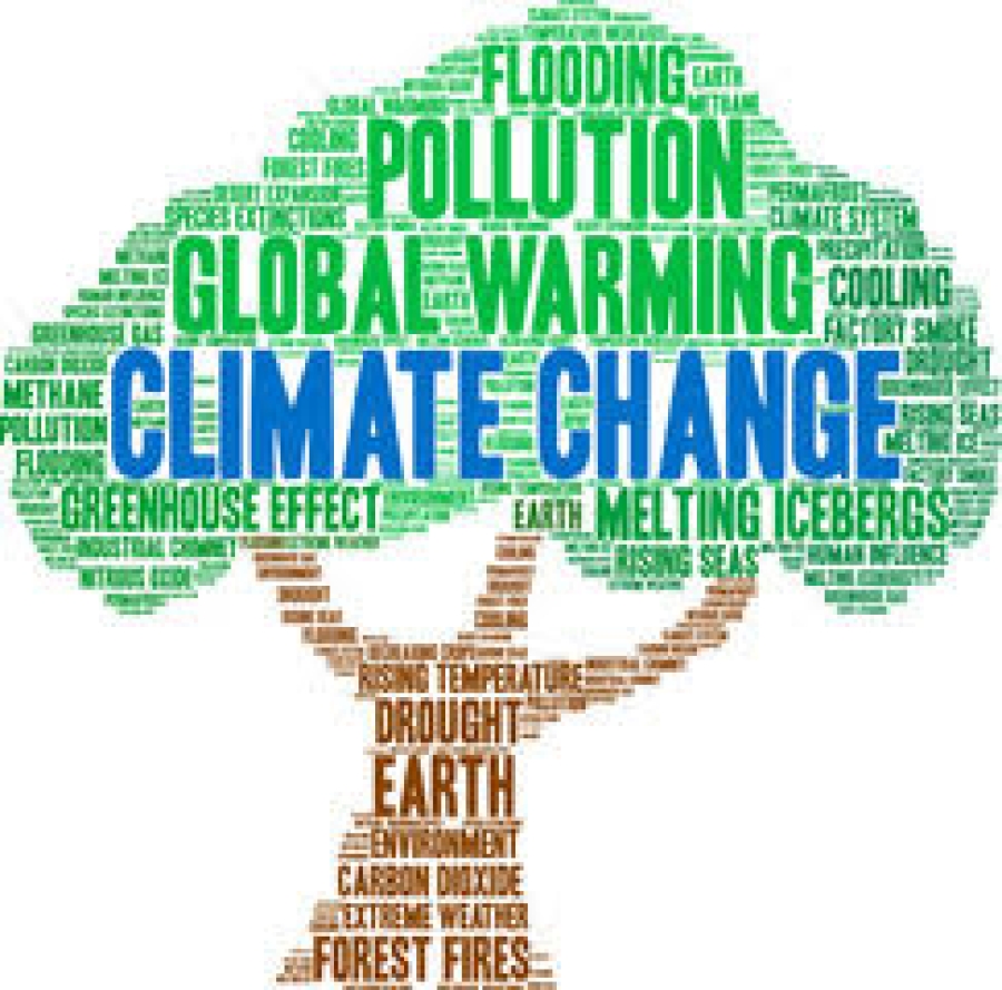 Climate Change-Related Risk: New SEC Guidance on Disclosures, Treasury’s FIO Evaluating Impact on Insurance