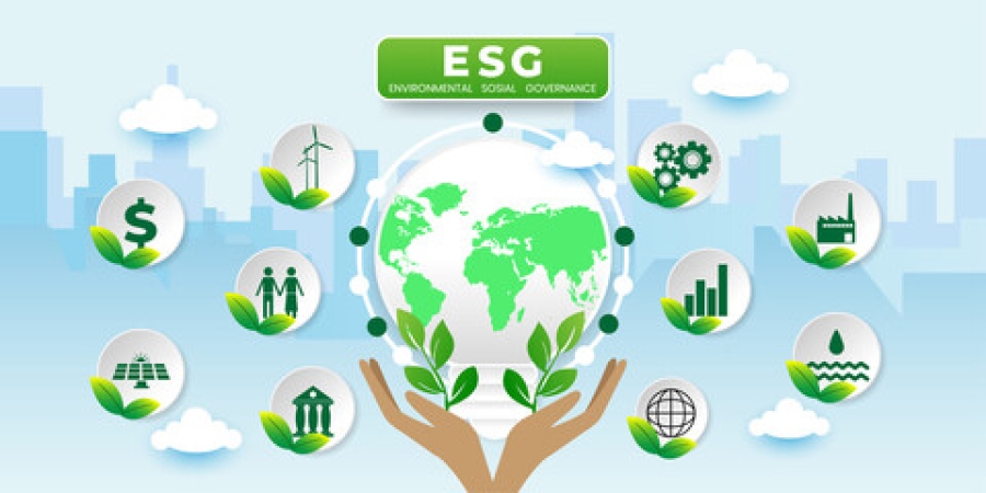 SEC Elevates ESG in New Alert Focusing on Disclosures, Observations and Effective Practices